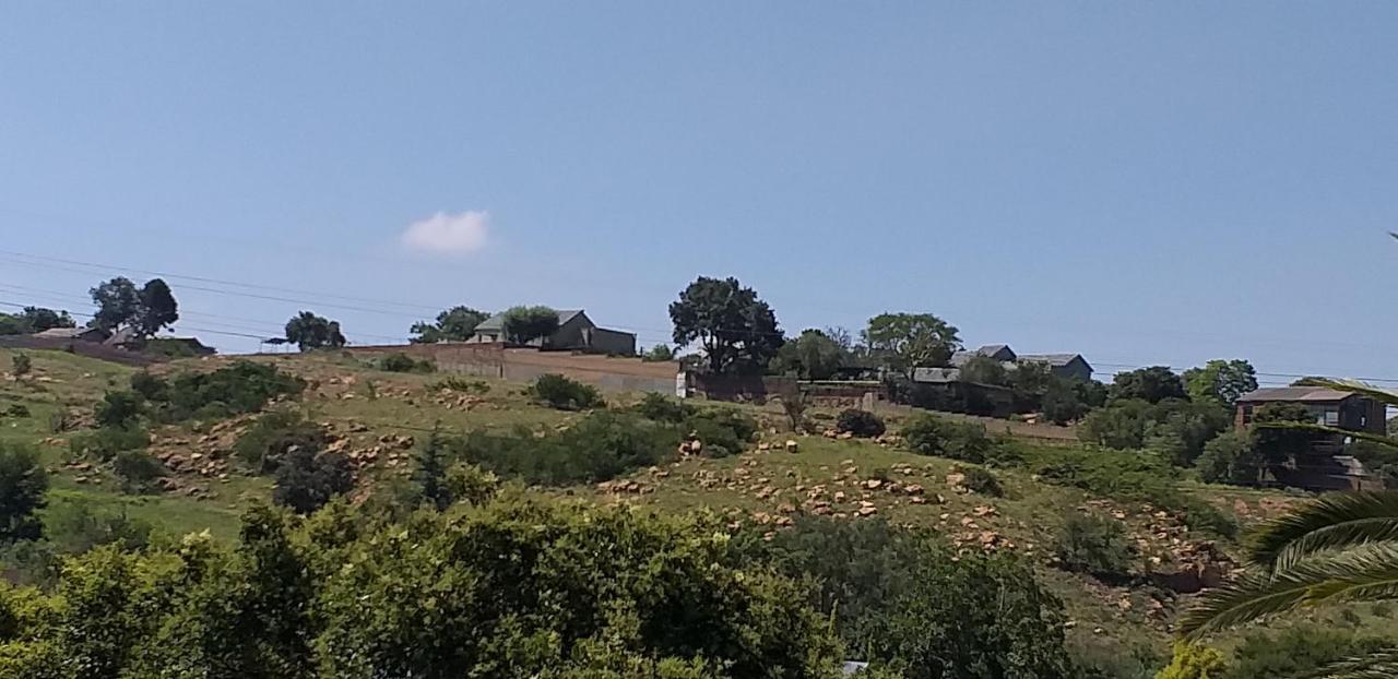 Agterplaas Guesthouse Pty Ltd Γιοχάνεσμπουργκ Εξωτερικό φωτογραφία